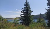 Excursión Senderismo Olby - J3 : Olby - lac de Servières - Photo 8