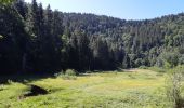 Tour Wandern Diedolshausen - Circuit de la Tête des Faux - Photo 16