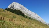 Trail Walking Le Grand-Bornand - AIGUILLE VERTE boucle - Photo 5