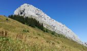 Tour Wandern Le Grand-Bornand - AIGUILLE VERTE boucle - Photo 5