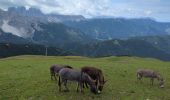 Randonnée Marche Brixen - Bressanone - Plosehütte et Rossalm - Photo 12