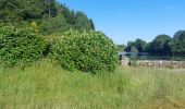 Trail Walking Bubry - PR_56_Bubry_BA_02_St-Clement_Circuit1b_20250530 - Photo 8