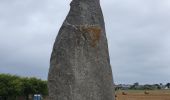 Tour Wandern Plounéour-Brignogan-Plages - 22 Août 2024 - dolmen du Dievet vers le phare de Pontusval - Photo 5