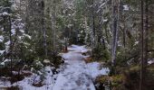 Trail Walking Mont-Albert - Chutes du diable - sentier du Mont Albert - Photo 8