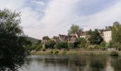 Tocht Stappen Argentat-sur-Dordogne - argentât  - Photo 1