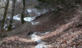 Trail Walking Besse-et-Saint-Anastaise - Tracé actuel: 23 MARS 2019 12:57 - Photo 2