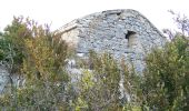 Tour Wandern Piégros-la-Clastre - Chapelle Saint-Médard par Piégros ND de Bon secours - Photo 5