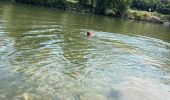 Trail Walking Millau - Millau Tarn - Photo 2