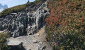 Trail Walking Chamonix-Mont-Blanc - CHAMONIX ... Col de Balme & Aiguillettes des Posettes. - Photo 9