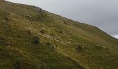 Tour Wandern Mont-Dore - Puy de Sancy par les crêtes - Photo 1