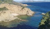 Tocht Stappen Hyères - presque ile de gien côté est - Photo 4