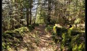 Trail Walking Revel - Mont Morel - Photo 3