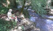 Trail Walking Loubressac - autoire cascade siran - Photo 7