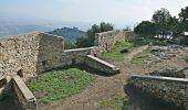 Excursión A pie Cabrera de Mar - SL-C 115 Cabrera de Mar-Castell de Burriac - Photo 1