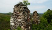 Randonnée A pied Buják - Bujáki Erdészeti Tanösvény - Photo 10