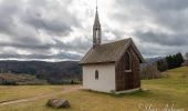 Tour Wandern Le Ménil - Grande boucle au départ des chalets de la Feigne sur de l'Eau - Photo 10