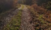 Trail Mountain bike Saint-Clément - sortie vtt 15112020 km st clément  - Photo 1