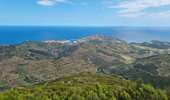 Tour Wandern Collioure - Le tour de la toure de Madeloc - Photo 6
