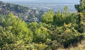 Tour Pfad Sainte-Tulle - La Réserve et le Clapier(14,5K 270D+) - Photo 2