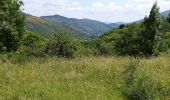 Trail Walking Villefort - Lac Villefort la Garde Guerin, lac de Villefort.(31-05-2020) - Photo 3