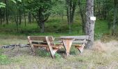 Tour Wandern Günsbach - Gunsbach - Munster - Photo 11