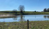 Tour Wandern Quévy - Givry sud 17 km - Photo 9