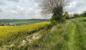 Tour Wandern Gouaix - petite randonnée bois de GOUAIX - Photo 6