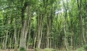 Tour Wandern Fels - 2025-06-09 Larochette Consdorf - Photo 1