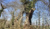 Tour Wandern Clairoix - Randonnée au fort Ganelon ( Clairoix) - Photo 13