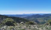 Tocht Stappen Gonfaron - Plateau du Treps - Photo 8