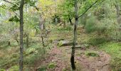 Randonnée Marche Bort-les-Orgues - Chute de la Saule - Photo 19