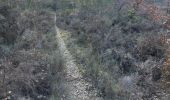 Trail Walking Mazan - Boucle NdA - Photo 2