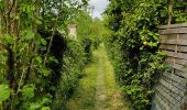 Trail Walking Noisy-sur-Oise - forêt de carnelle - Photo 1