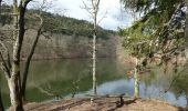 Tocht Te voet Houffalize - Promenade du Lac de Nisramont - Photo 2