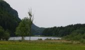 Tour Wandern Le Frasnois - Lac de Narlay - Pic de l'Aigle - Photo 12