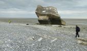 Tour Wandern Cayeux-sur-Mer - entre le Hourdel et Cailleux - Photo 5