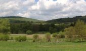 Tour Zu Fuß Steinau an der Straße - Steinau a. d. Straße, Wanderweg 8 - Photo 5