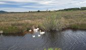 Tocht Stappen Vic-la-Gardiole - Circuit des salines  - Photo 3