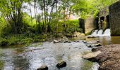 Tocht Stappen Thuin - La vallée de la Biesmelle à Thuin - Photo 1