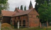 Tocht Te voet Märkische Heide - Wanderweg Neu Lübbenau-Neu Schadow-Pretschen - Photo 7