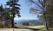 Tour Mountainbike Urbach bei Kaysersberg - Fréland - Col du Wettstein - Photo 4