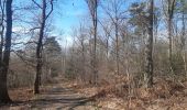 Percorso Marcia Seraing - descente dans le bois de la vecquée - Photo 3