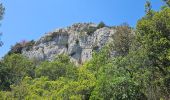 Tour Wandern Ollioules - Châteauvallon - Ollioules - Photo 18