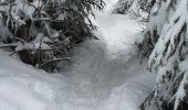 Randonnée Marche Dabo - col de la schlief - Photo 2