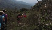 Trail Walking Bormes-les-Mimosas - les 3 cols Bormes les Mimosas  - Photo 6