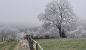 Tocht Stappen Libin - rando redu 31-12-2024 - Photo 19