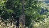 Trail Walking Marray - Marray - Les versants de la Dême - Photo 13