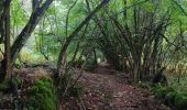 Tocht Stappen Ax-les-Thermes - Chemin de Runac - Photo 5