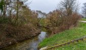 Tour Zu Fuß Achern - Acherbrücke Engert - Schwanzgass - Photo 4