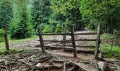 Trail Walking Tržič - veliki vrh 2086 - Photo 20